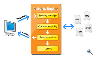 How Intigrix™ Works